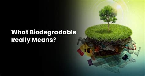 What Is Biodegradable?